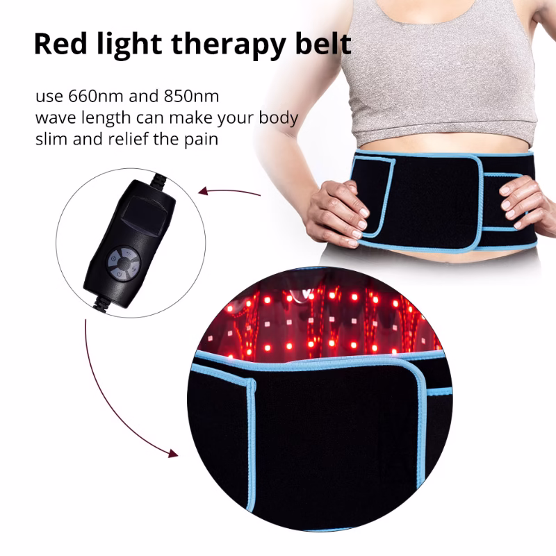 Restorative Red Light Therapy Waist Belt