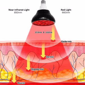 Powerful Red Light Therapy Bulb 3W